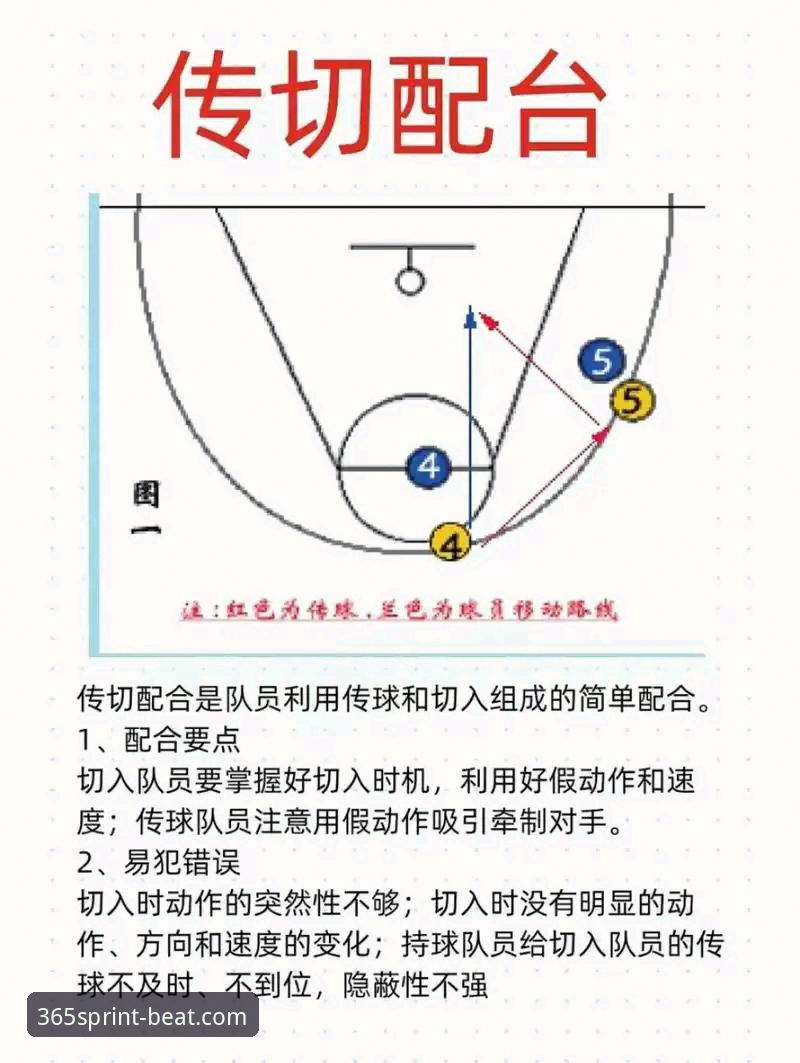 beat365下载 beat365体育官网尤伯杯赛事体验教程:深度解析中国队三场连胜战术